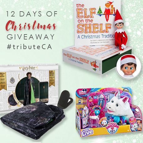 12 Days of Christmas Giveaway: Day 7 – Harry Potter and more toys