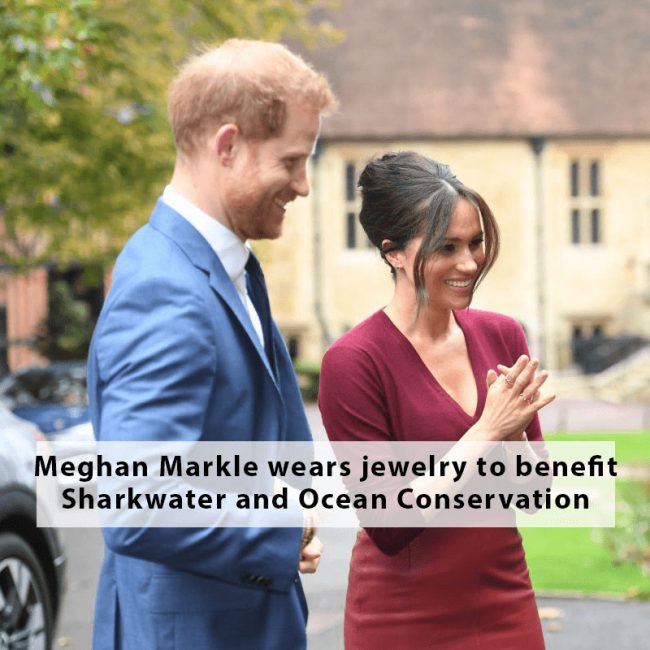 In October 2019, Meghan Markle, the Duchess of Sussex, wore jewelry by Canadian company Vargas Goteo to the One Young World Summit. A percentage of the proceeds from the jewelry sales go to Team Sharkwater, ocean conservation and Mantas. 