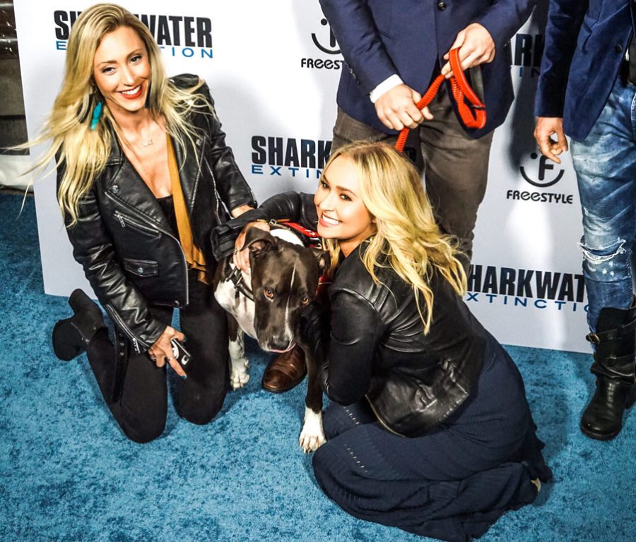 Hayden Panettiere at Los Angeles premiere of Sharkwater Extinction