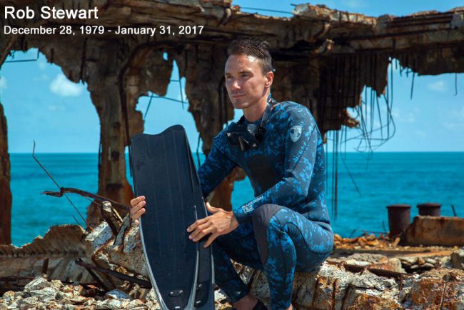 The Rob Stewart Sharkwater Foundation has achieved so much, but there’s more work to do and so many more objectives to achieve in the years to come. Thank you to everyone who has helped to save sharks and our oceans — if you want to join the cause, click here to find out more!