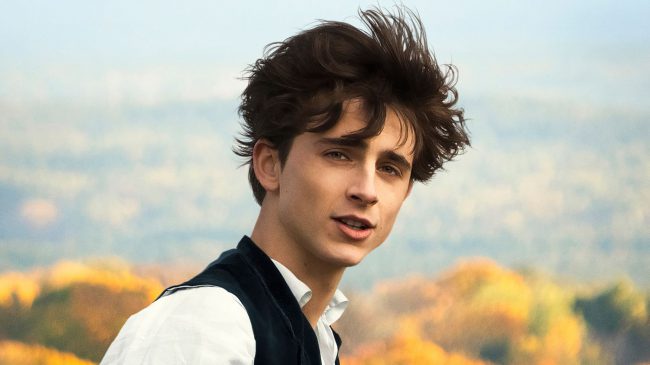 A little over a year younger than Saoirse Ronan, who plays the indomitable Jo March in Little Women, Timothée Chalamet as Laurie seems so much younger that this is the first film version of the classic novel in which audiences actually sympathized with Jo when she turned him down. As she’s becoming a woman, Laurie […]