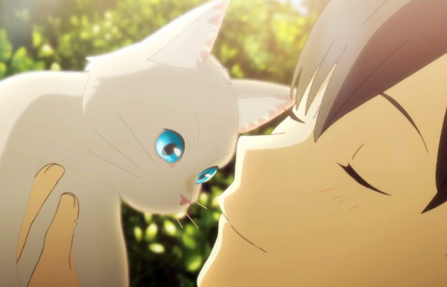 In this animé feature film, Miyo Sasaki is desperate to get closer to her crush, classmate Kento Hinode. Her solution: turn into a cat.
