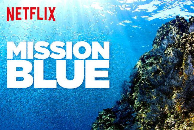 Mission Blue is a Netflix original documentary about legendary oceanographer, marine biologist, environmentalist, and National Geographic Explorer-in-Residence Sylvia Earle. It follows her efforts to create a network of protected marine sanctuaries.