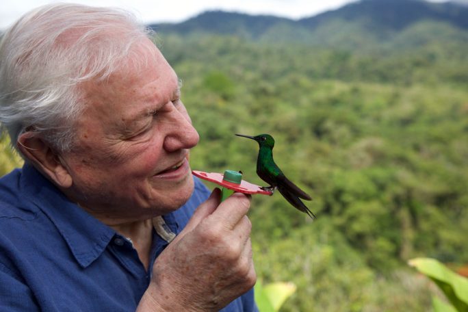 Life in Color with David Attenborough April 22