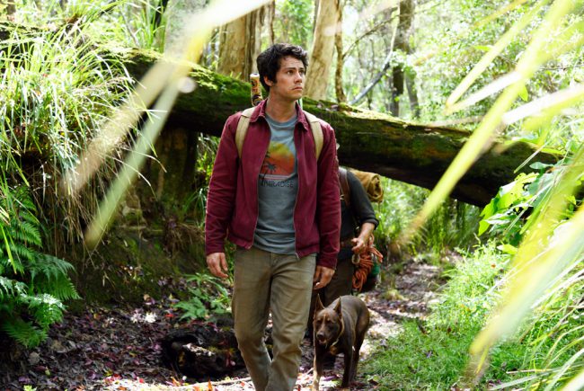 Seven years after he survived the monster apocalypse, Joel (Dylan O’Brien) is still desperate to reconnect with his girlfriend, from whom he was separated when the attack broke out. Believing he’s discovered her colony on the radio, he sets out on a quest to find her. 