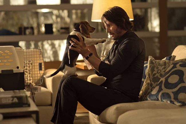 Before John Wick, Keanu Reeves was best known for playing Neo in the Matrix franchise. But until 2014, Reeves struggled to maintain the upwards trajectory of his career, appearing in flops like The Day the Earth Stood Still and 47 Ronin. When he was cast as John Wick, his career took a turn, as he […]