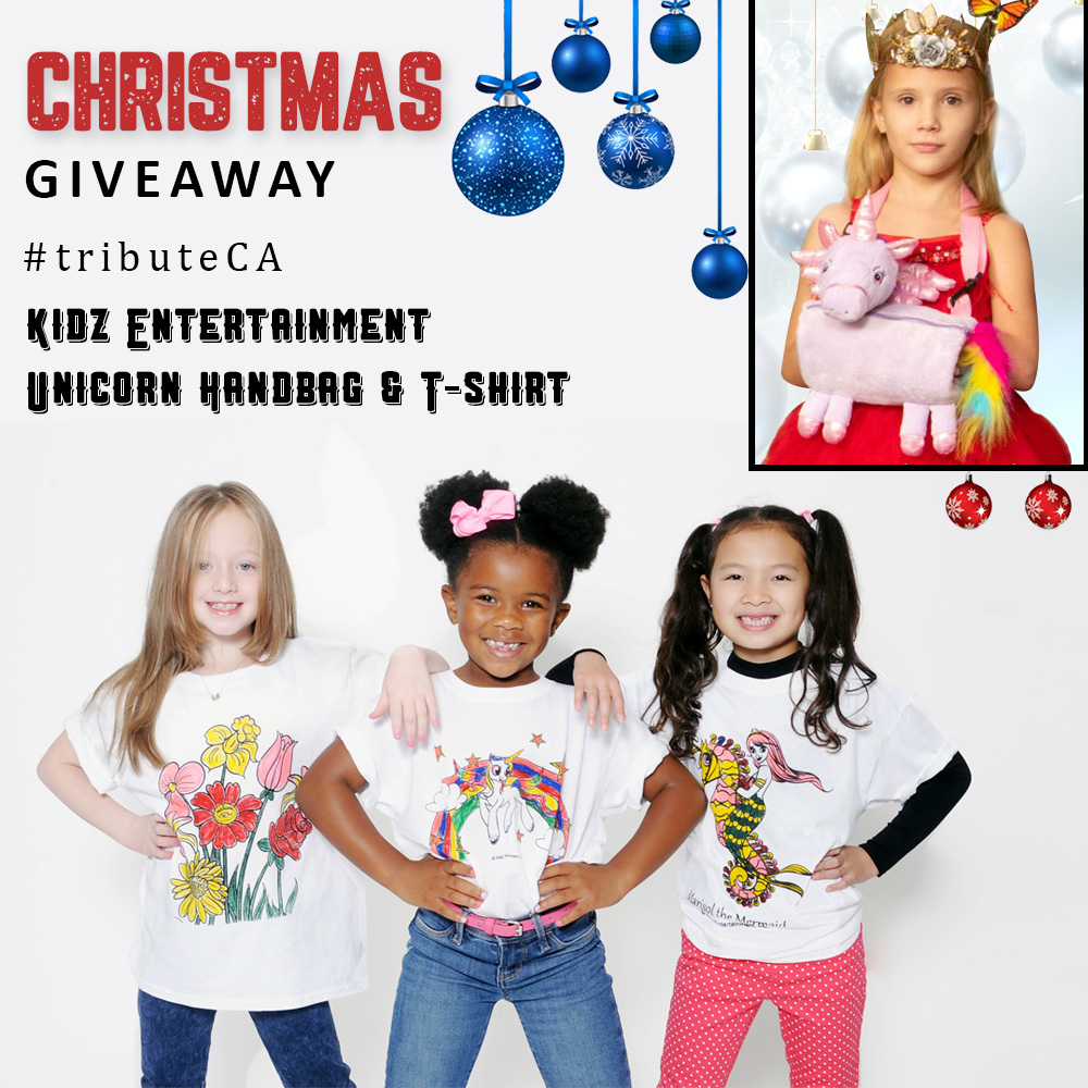 Christmas Giveaway Unicorn Handbag and T-shirt