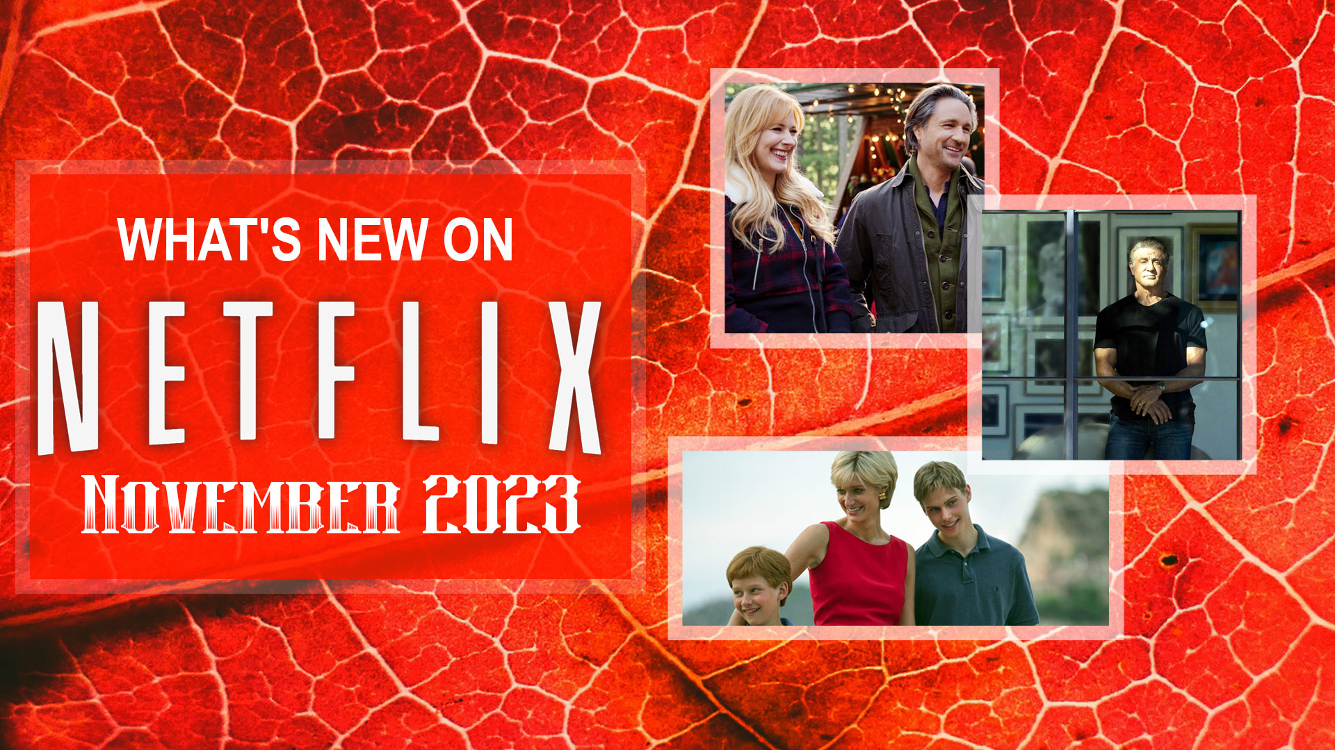 What's New on Netflix November 2023