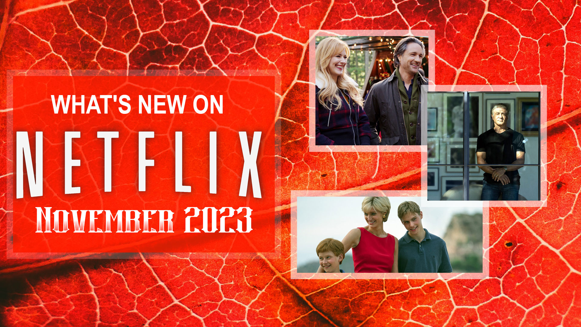 The Best Movies on Netflix Canada - November 2023