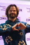 Toronto Comicon 2025 - exciting celebs, panels and more!