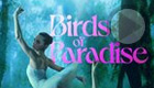 Birds of Paradise (Amazon Prime Video)