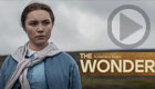 The Wonder (Netflix)