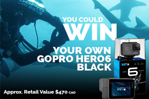 Sharkwater Extinction GOPRO HERO6 value Cdn $460