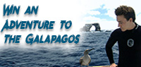 Last chance at an adventure trip to the Galapagos Islands with Sharkwater Extinction & G Adventures