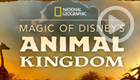 Magic of Disney’s Animal Kingdom (Disney+)