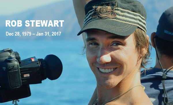 In-Memory-of-Rob-Stewart1.jpg