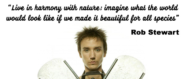 Rob Stewart