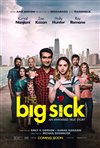 The Big Sick movie poster