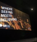 Friends of TIFF fundraiser to be held this year