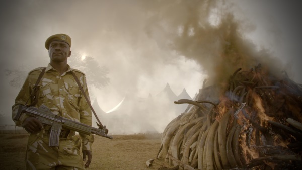 Netflix documentary The Ivory Game pulls back the veil on elephant poaching