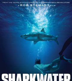 Rob Stewart's Sharkwater Extinction to premiere at TIFF!