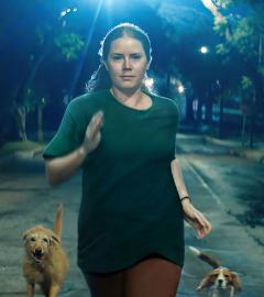 Weekend happenings you won't want to miss at TIFF 2024