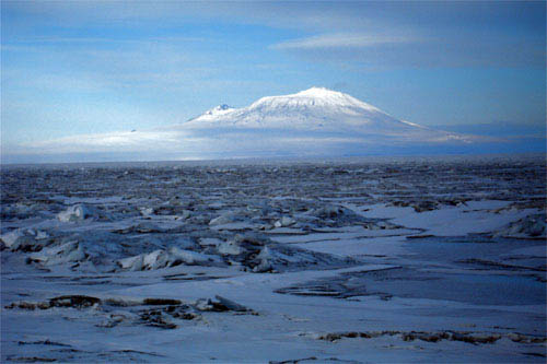 http://www.tribute.ca/tribute_objects/images/movies/Encounters_at_the_End_of_the_World/encounters9.jpg